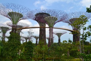 Marina Park Singapore