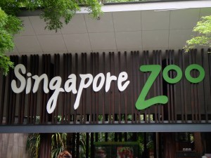 Zoo de Singapour