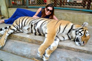 Tiger Kingdom Chiang Mai